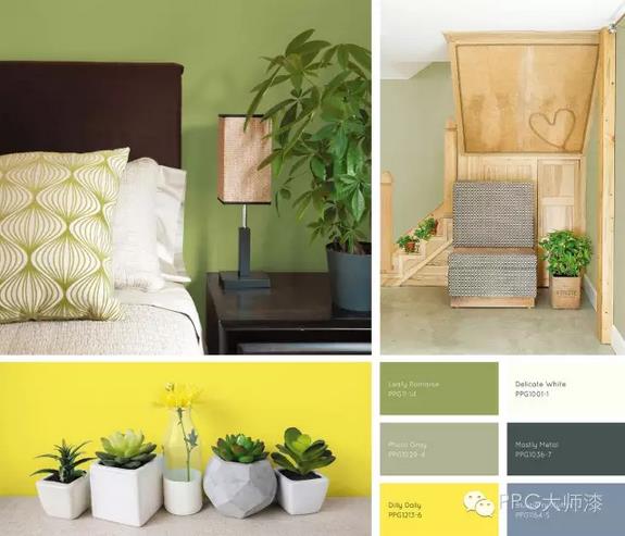 PPG����2017��ɫ������څ��(sh��) �Ă�(g��)���}���о���